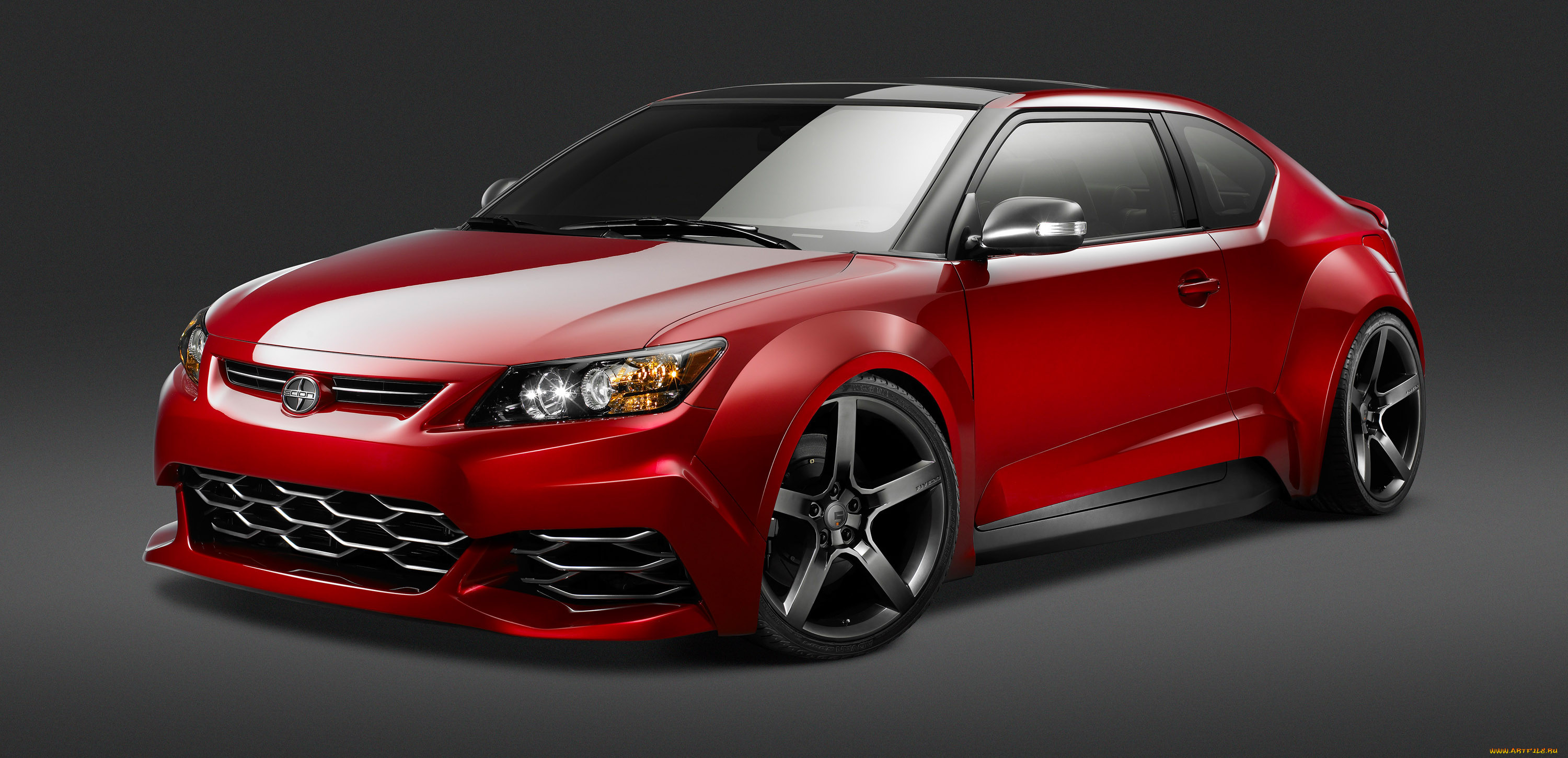 , scion